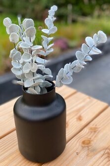 DIY Eucalyptus takken