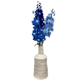 DIY pakket Delphinium/Ridderspoor Porselein Blauw/Lucht Blauw/Schemering Blauw