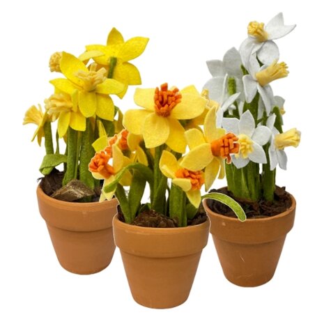 DIY Pakket Narcissen, verkrijgbaar in 3 kleuren combinaties